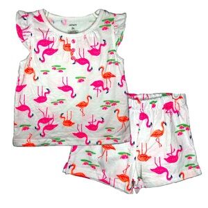 EUC Carter 2T pink & orange Flamingo 2pc Tank Top & Shorts Set